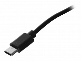 Сетевой адаптер Ethernet Digma D-USBC-LAN100 USB Type-C (упак.:1шт)