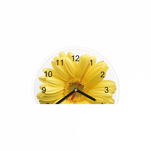 Часы настенные Centek СТ-7102 Flower