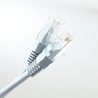 Патч-корд Telecom UTP CAT5E 0.5M GREY NA102--0.5M